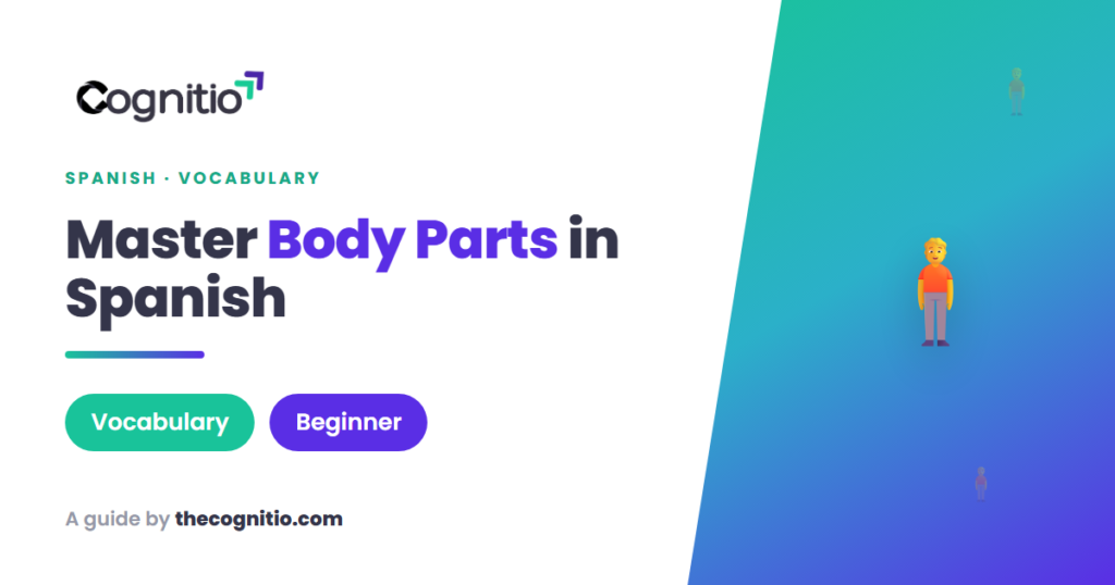 body parts in Spanish